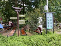 -广州白江湖森林公园