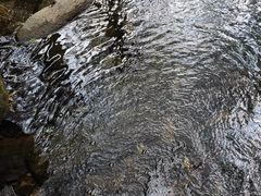 -木兰云雾山