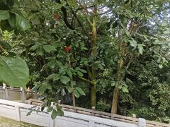 -成都老君山
