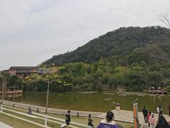 -神光山国家森林公园