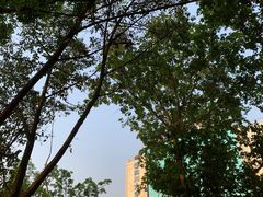 -四川大学(望江校区)