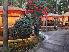 -二荆条·蜀鲜汇城市森林火锅