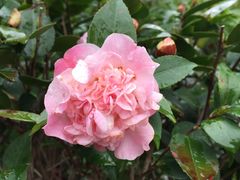 -胡桃里音乐酒馆(曲江店)