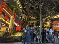 -重庆十八梯传统风貌区