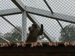 -合肥野生动物园