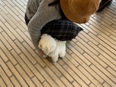 -汪喵宠物医院·骨科心脏影像·犬猫急重症ICU诊疗中心(成华分院)