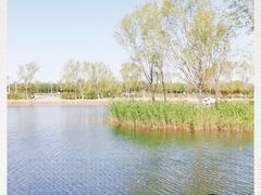 -大兴滨河森林公园