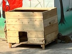 -极速星辰卡丁车赛车场(西山店)