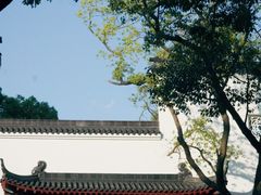 -东湖落雁景区