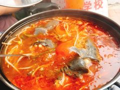 -弘烨 贵州酸汤 鱼火锅(东财店)