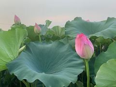 -南北湖风景区