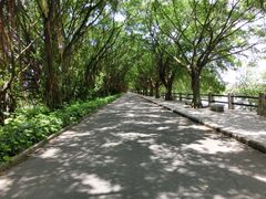 -大湾区中央湿地公园