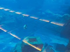-石家庄海洋公园
