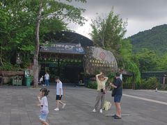 -海南槟榔谷黎苗文化旅游区