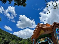 -西双版纳原始森林公园