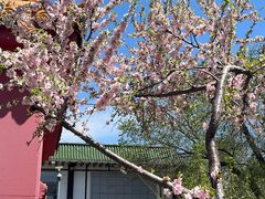 -哈尔滨极乐寺