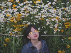 -三圣花乡旅游区