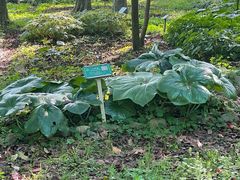 -杭州植物园