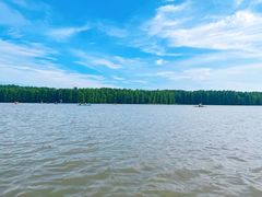 -上海海湾国家森林公园