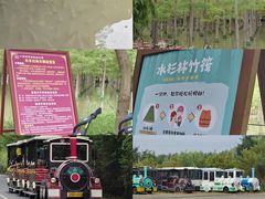 -泗洪洪泽湖湿地景区