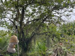 -中国科学院西双版纳热带植物园