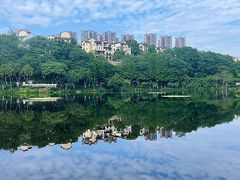 -重庆彩云湖湿地公园