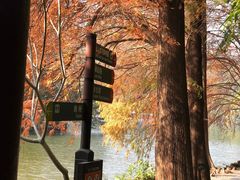 -深圳仙湖植物园