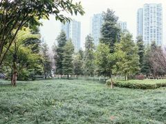 -重庆彩云湖湿地公园