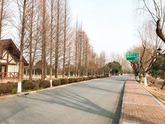 -太阳岛度假酒店