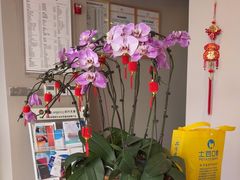 -土豆口腔(凤凰北总店)