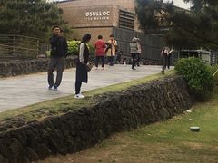 -雪绿茶博物馆