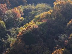 -秦岭风景区