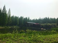 -黄海国家森林公园