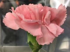 -苏浙总会(国金中心店)