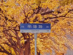 -山东师范大学(千佛山校区)
