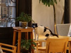 -猫的天空之城概念书店(杭州南宋御街店)