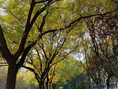 -La Medina餐厅(亮马河南路店)