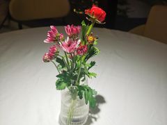 -菉雅苑·湛江菜(前海卓越INTOWN店)