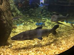 -成都浩海立方海洋公园