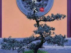 -灵隐飞来峰景区