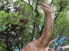 -海合安武汉极地海洋公园