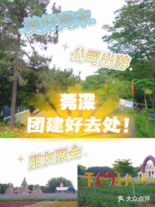 松山湖南湖湾露营营地图片