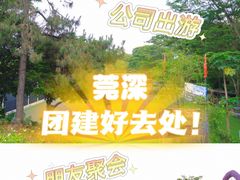 -松山湖南湖湾露营营地