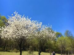 -大水川景区