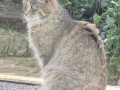 -青藏高原野生动物园