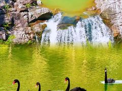 -广州白江湖森林公园