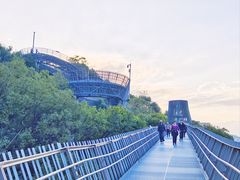 -福道