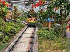 -南宫五洲植物乐园