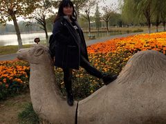 -祥源·阜阳生态乐园