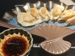 -点都德·毕德寮